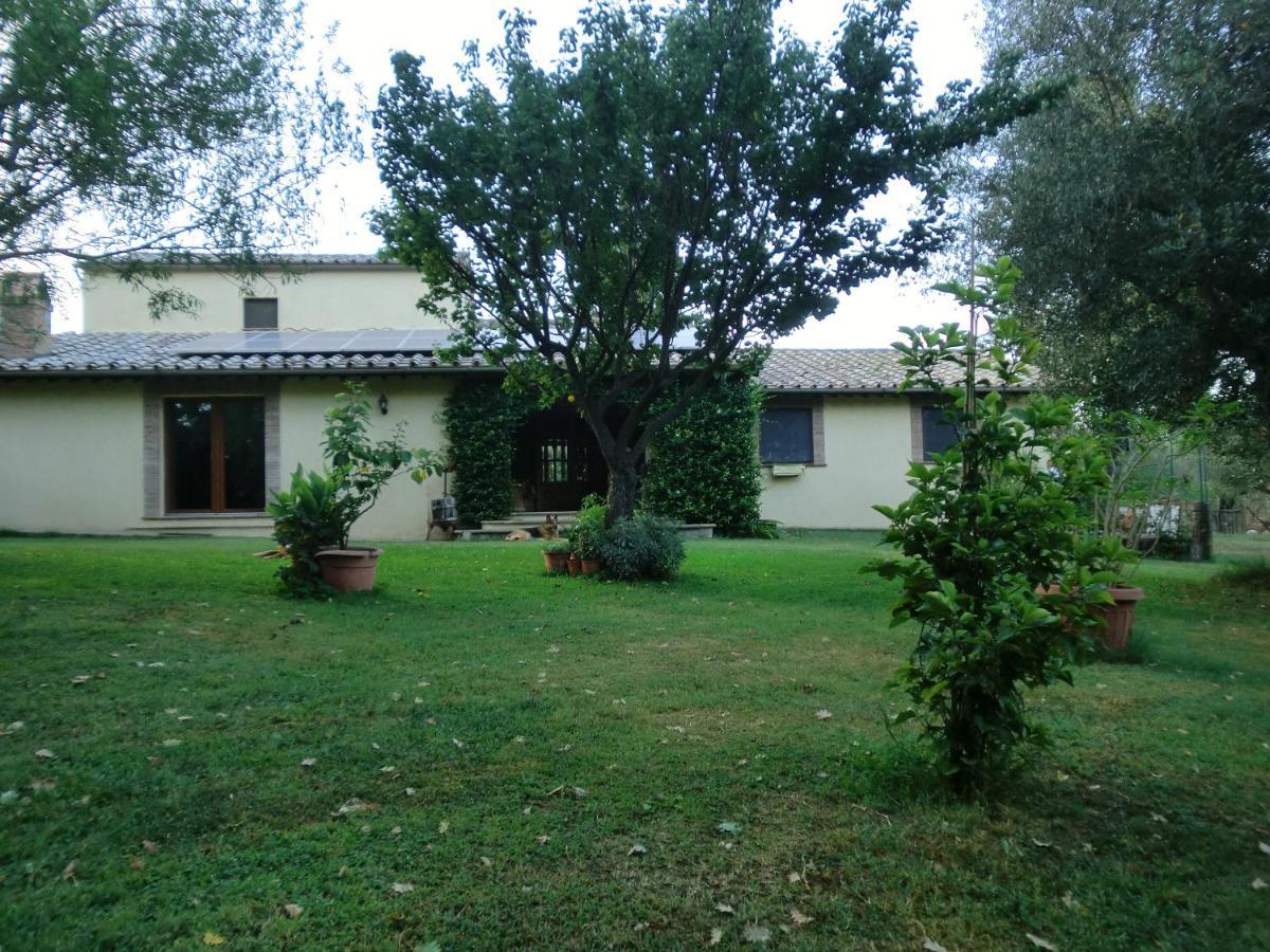 Bed and Breakfast I Massi San Michele in Teverina Esterno foto