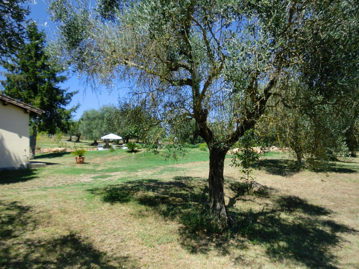 Bed and Breakfast I Massi San Michele in Teverina Esterno foto
