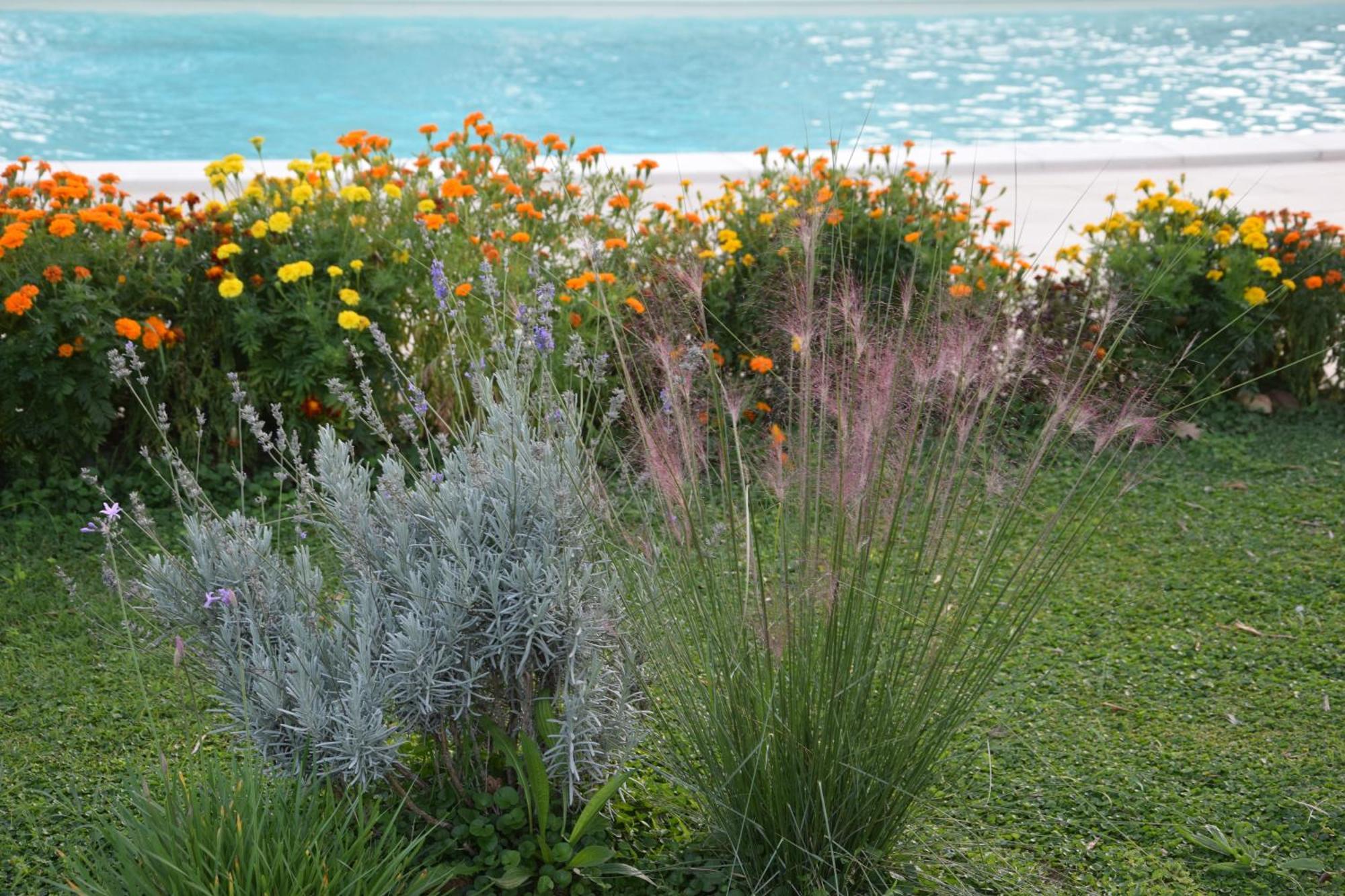 Bed and Breakfast I Massi San Michele in Teverina Esterno foto