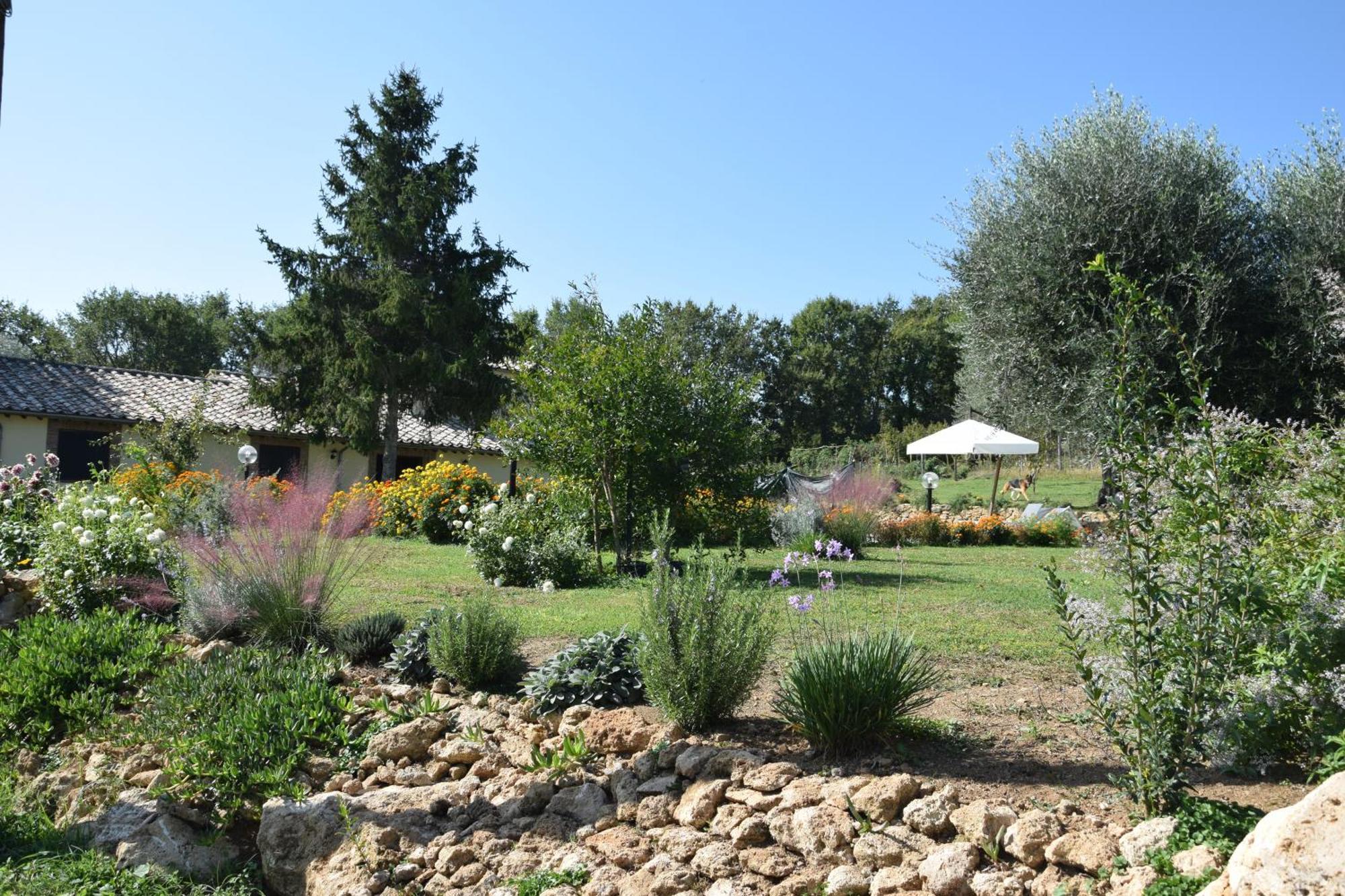Bed and Breakfast I Massi San Michele in Teverina Esterno foto