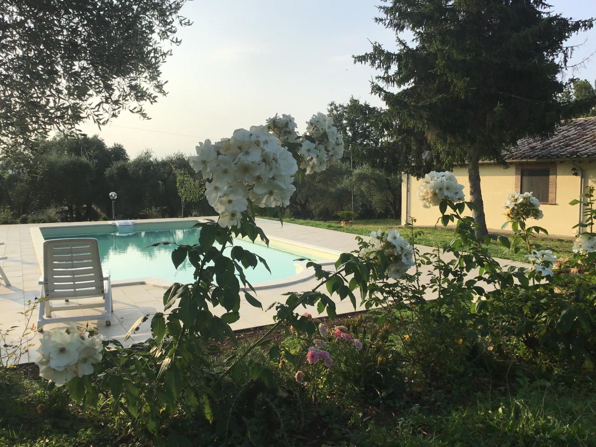 Bed and Breakfast I Massi San Michele in Teverina Esterno foto